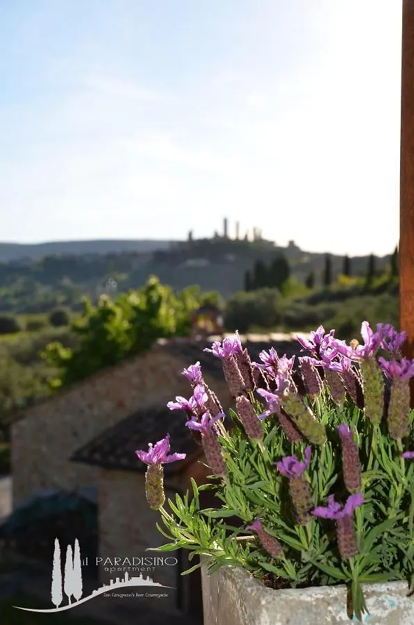 Il Paradisino San Gimignano'S Best Countryside